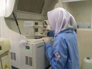 Prakerin (3)